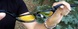 Очки фотохромные (защитные) Global Vision Hercules-1 Photochromic (yellow) фотохромные желтые 1ГЕР124-30 фото 6