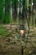 Лампа керосиновая Naturehike Outdoor Lamp NH22ZM003 dark green VG6927595709542 фото 4