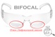 Очки бифокальные (защитные) Pyramex Intruder Bifocal (+1.5) (clear) прозрачные 2ИНТРБИФ-10Б15 фото 3