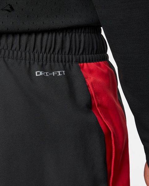 Штани чоловічі Jordan Sport Dri-Fit, чорний, L DH9073-010 фото