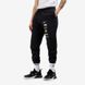 Брюки мужские Nike Club Plus Logo Pants Flc, черный, L DX0795-010 фото 3