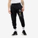 Брюки мужские Nike Club Plus Logo Pants Flc, черный, L DX0795-010 фото 1