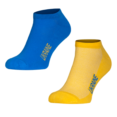 Шкарпетки Ukraine, жовто-блакитний, 39-42 CT6659 фото
