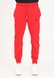 Брюки мужские Jordan Essentials Warmup Pant, красный, L DJ0881-612 фото 1