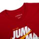 Футболка мужская Jordan Jumpman, красный, L DM3219-687 фото 4
