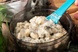 Паста з копченою куркою та грибами у соусі Бешамель ТЇ100000027 фото 5