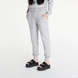 Брюки женские Nike Phoenix Fleece Women's High-Rise Pants, серый, M DQ5688-063 фото 1