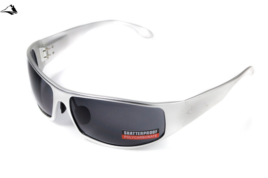 Окуляри захисні Global Vision BAD-ASS-1 Silver (gray) чорні в металевій оправі 1БЕД1-СМ20 фото