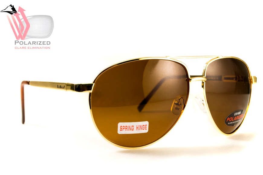 Окуляри поляризаційні BluWater AirForce Gold Polarized (brown), коричневі лінзи в золотистій оправі 4ЭИРФ-ЗМ50П фото