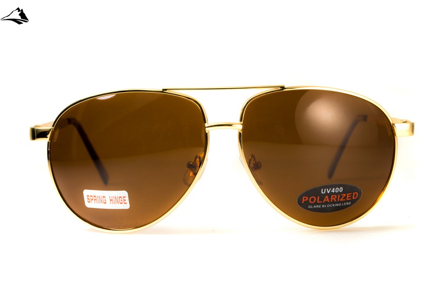 Окуляри поляризаційні BluWater AirForce Gold Polarized (brown), коричневі лінзи в золотистій оправі 4ЭИРФ-ЗМ50П фото