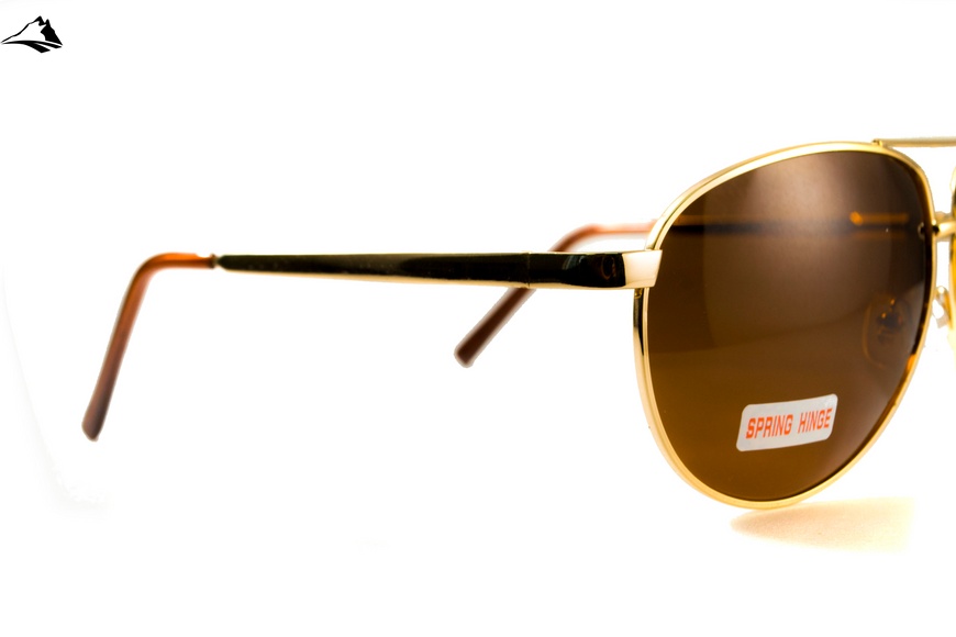 Окуляри поляризаційні BluWater AirForce Gold Polarized (brown), коричневі лінзи в золотистій оправі 4ЭИРФ-ЗМ50П фото