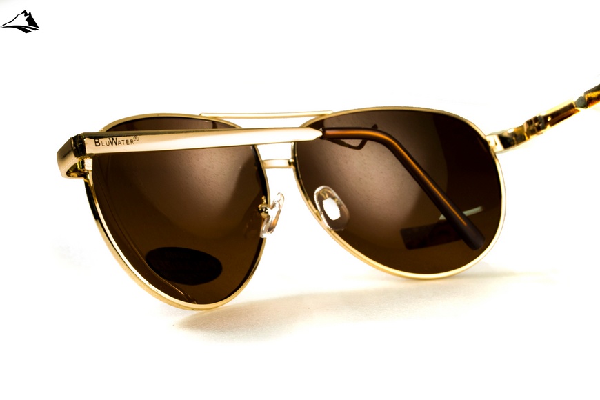 Окуляри поляризаційні BluWater AirForce Gold Polarized (brown), коричневі лінзи в золотистій оправі 4ЭИРФ-ЗМ50П фото