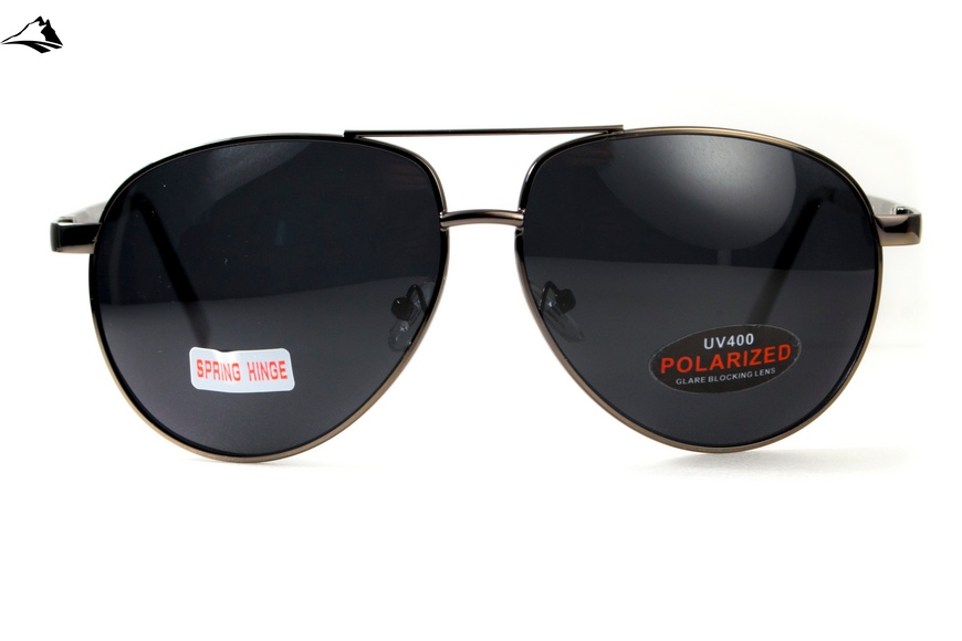 Окуляри поляризаційні BluWater AirForce GunMetal Polarized (gray), чорні лінзи в металевій оправі сырого кольору 4ЭИРФ-ГМ20П фото