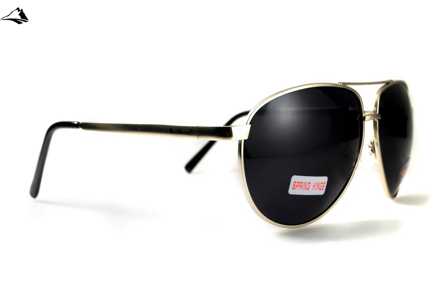 Окуляри поляризаційні BluWater AirForce Silver Polarized (gray), чорні лінзи в металевій оправі 4ЭИРФ-СМ50П фото