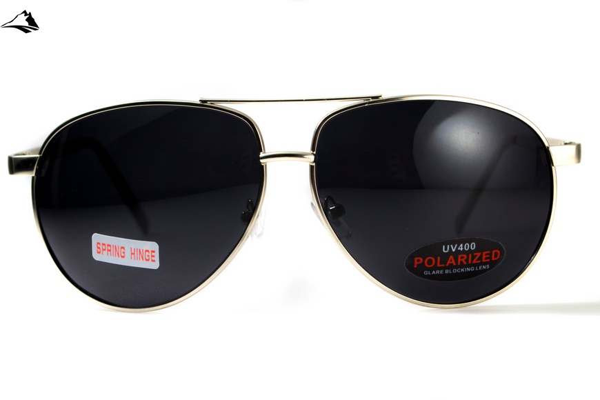 Окуляри поляризаційні BluWater AirForce Silver Polarized (gray), чорні лінзи в металевій оправі 4ЭИРФ-СМ50П фото