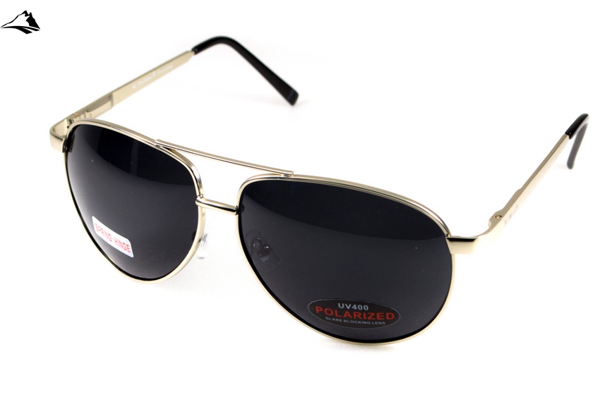 Окуляри поляризаційні BluWater AirForce Silver Polarized (gray), чорні лінзи в металевій оправі 4ЭИРФ-СМ50П фото