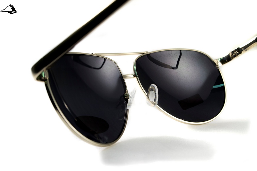 Окуляри поляризаційні BluWater AirForce Silver Polarized (gray), чорні лінзи в металевій оправі 4ЭИРФ-СМ50П фото