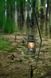 Лампа керосиновая Naturehike Outdoor Lamp NH22ZM003 beige VG6927595709559 фото 10