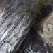 Костюм StormWall PRO Sequoia, мультиколір, S CT4882 фото 5