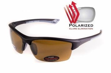 Окуляри поляризаційні BluWater Daytona-1 Polarized (brown) коричневі в чорно-сірій оправі 4ДЕЙТ1-50П фото