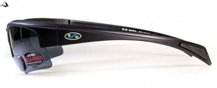 Окуляри біфокальні поляризаційні BluWater Bifocal-2 (+2.0) Polarized (gray) (чорна біфокальна лінза з діоптріями) 4БИФ2-20П20 фото