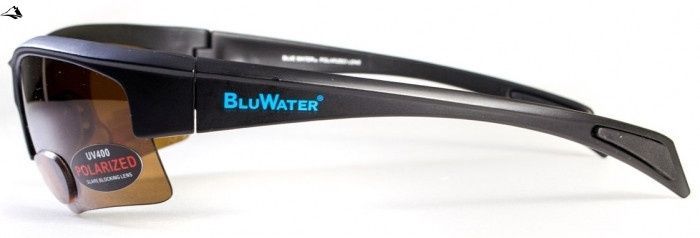 Окуляри біфокальні поляризаційні BluWater Bifocal-2 (+2.5) Polarized (brown) (коричнева біфокальна лінза з діоптріями) 4БИФ2-50П25 фото