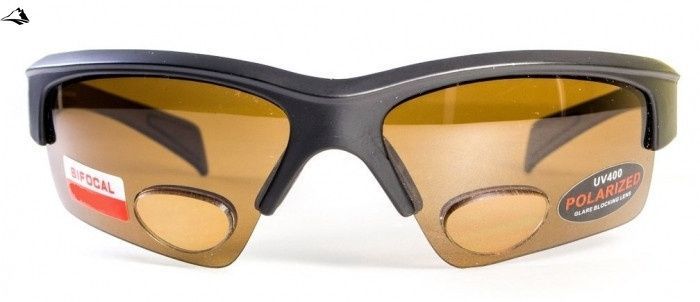 Окуляри біфокальні поляризаційні BluWater Bifocal-2 (+2.5) Polarized (brown) (коричнева біфокальна лінза з діоптріями) 4БИФ2-50П25 фото