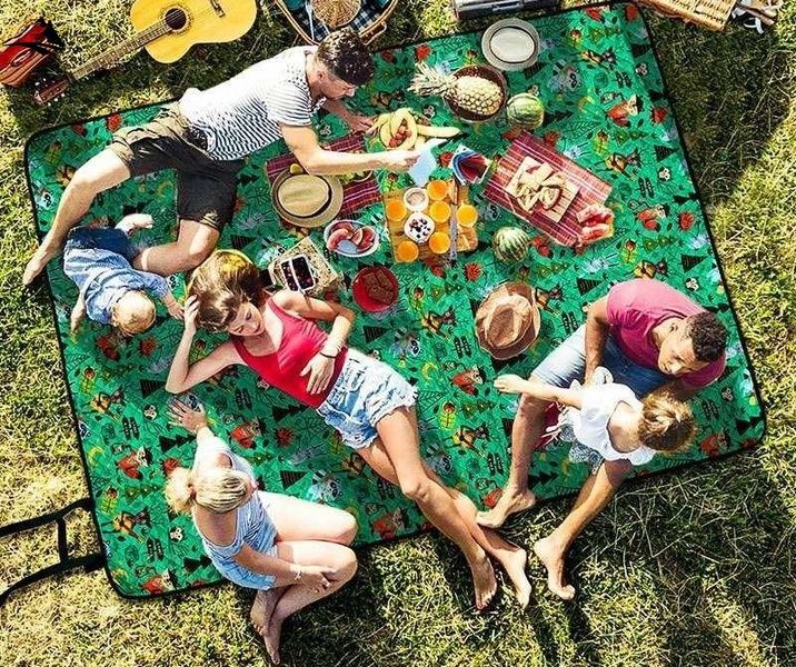 Килимок для пікніка Naturehike C042 200х180 cм NH19D024-Z Green VG6927595747582 фото