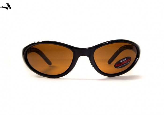 Окуляри поляризаційні BluWater Venice Polarized (brown) коричневі 4ВЕНИ-50П фото