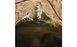 Тент Highlander Basha Shelter HMTC (MA100-HC) SVA929794 фото 15