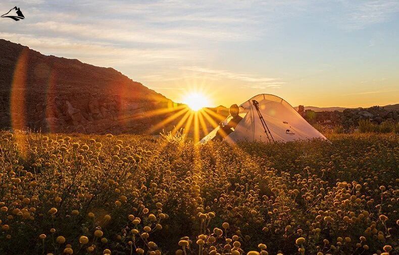 Намет Naturehike Cloud UP II Superlight (2-місний) 10D silicon NH19ZP017 grey/yellow VG6927595728147 фото